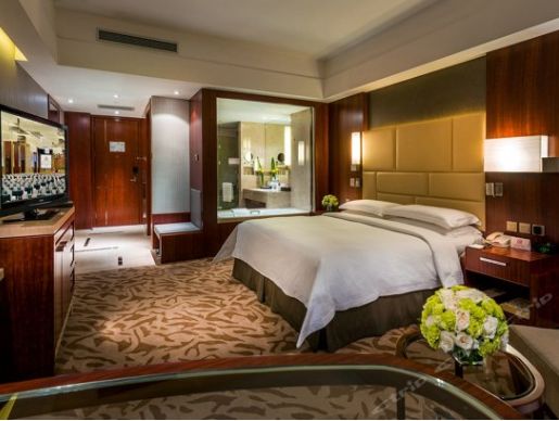 獨角獸 深度研究報告 中國的 獨角獸 為何這么牛